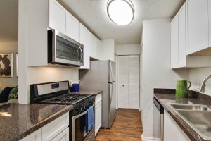 One bedroom apartments for rent in Stone Mountain, GA - Apartment Kitchen Interior with Pantry      