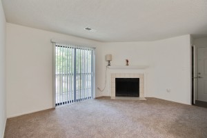 Three bedroom apartments for rent in Stone Mountain, GA - Living Room with Fireplace       