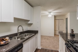 Three bedroom apartments for rent in Stone Mountain, GA - Model Kitchen Interior       