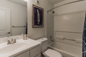  Two bedroom apartments for rent Stone Mountain, GA - Model Bathroom Interior       