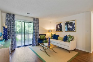  Two bedroom apartments for rent Stone Mountain, GA - Model Living Room      