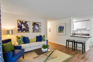  Two bedroom apartments for rent Stone Mountain, GA - Model Living Room with View to Kitchen       