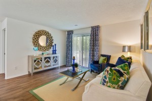  Two bedroom apartments for rent Stone Mountain, GA - Model Living Room       