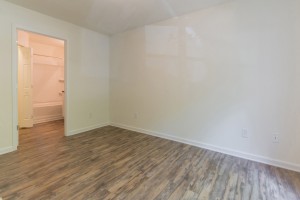 Apartments in Stone Mountain, GA - Bedroom with Closet                        