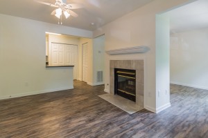 2 bedroom apartments for rent in Stone Mountain GA - Living Room and Fireplace                        
